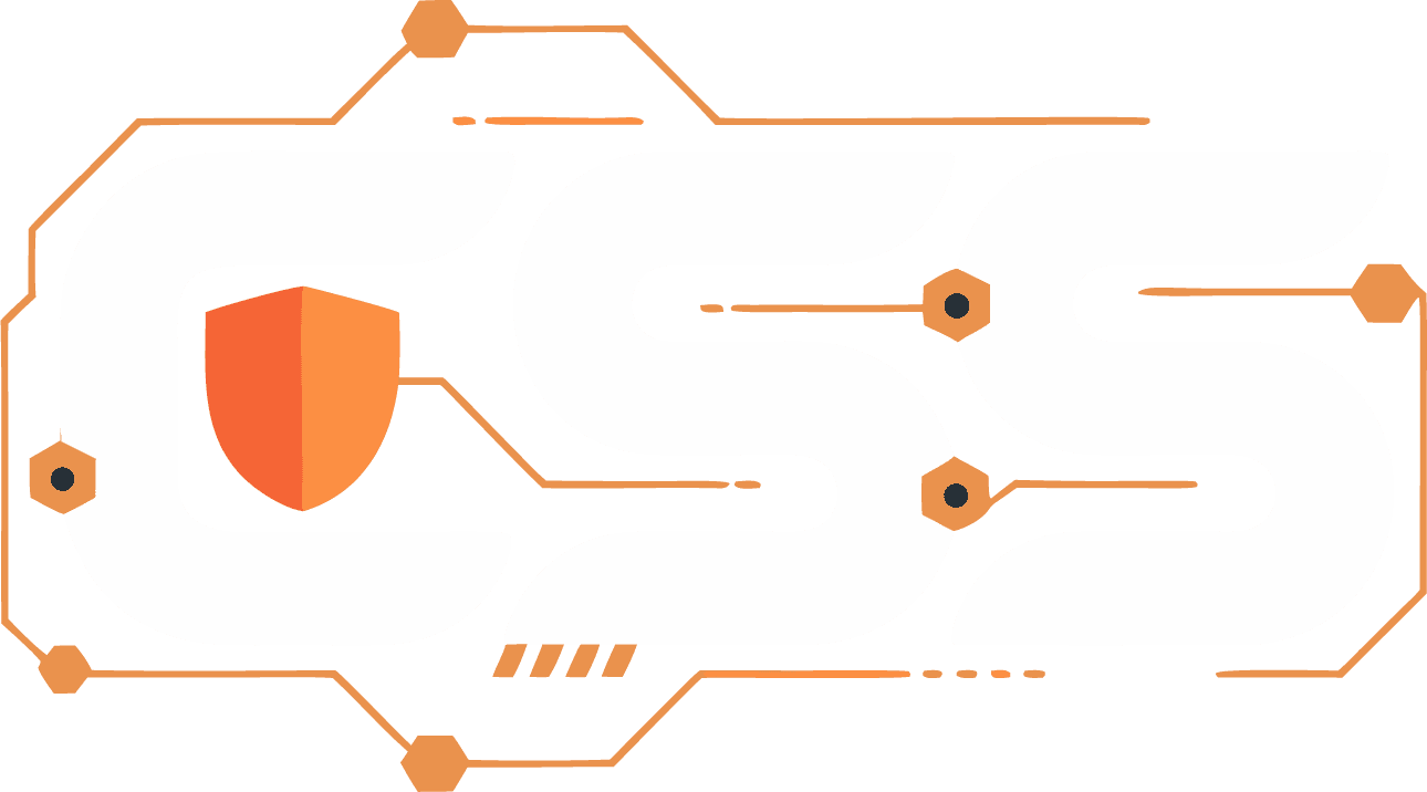 CSS Cyber Security Services