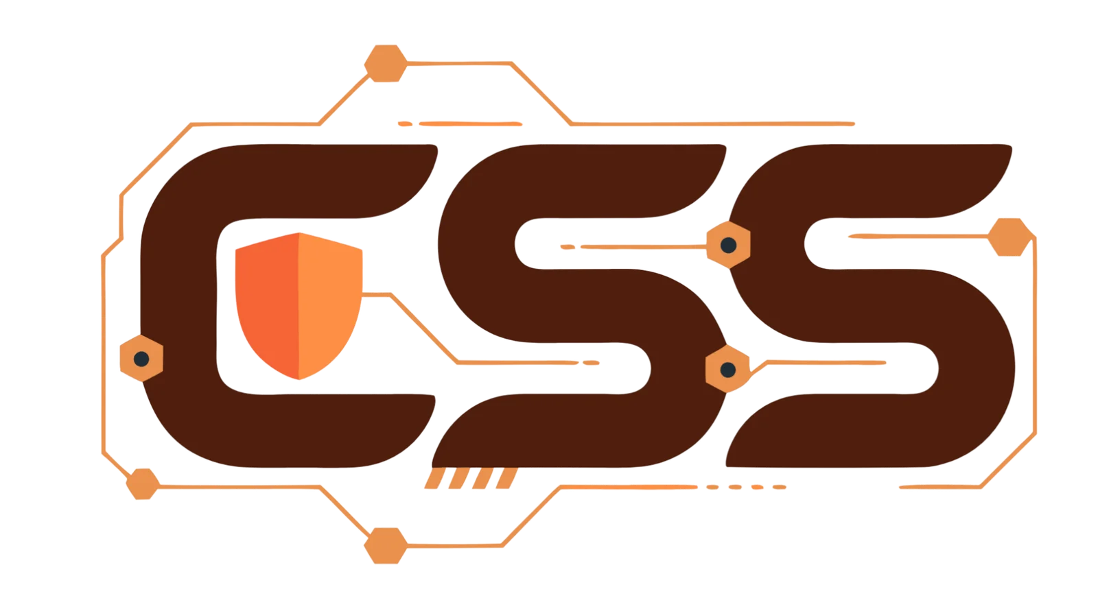 CSS Logo